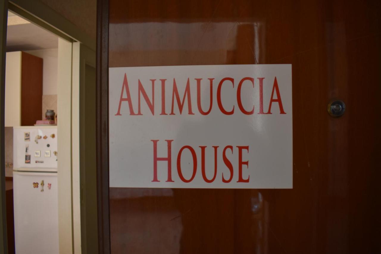 Casa Vacanze "Animuccia House" Roma Eksteriør bilde
